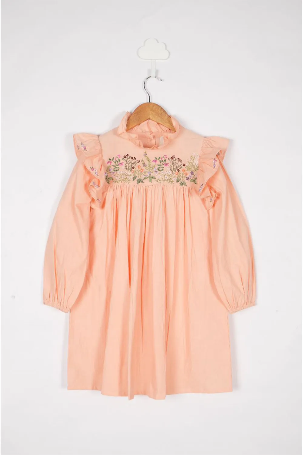 Peach Frill and Embroidery Detail Dress