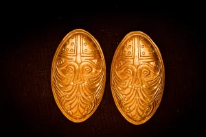 Viking Odin Turtle Brooches - TB18