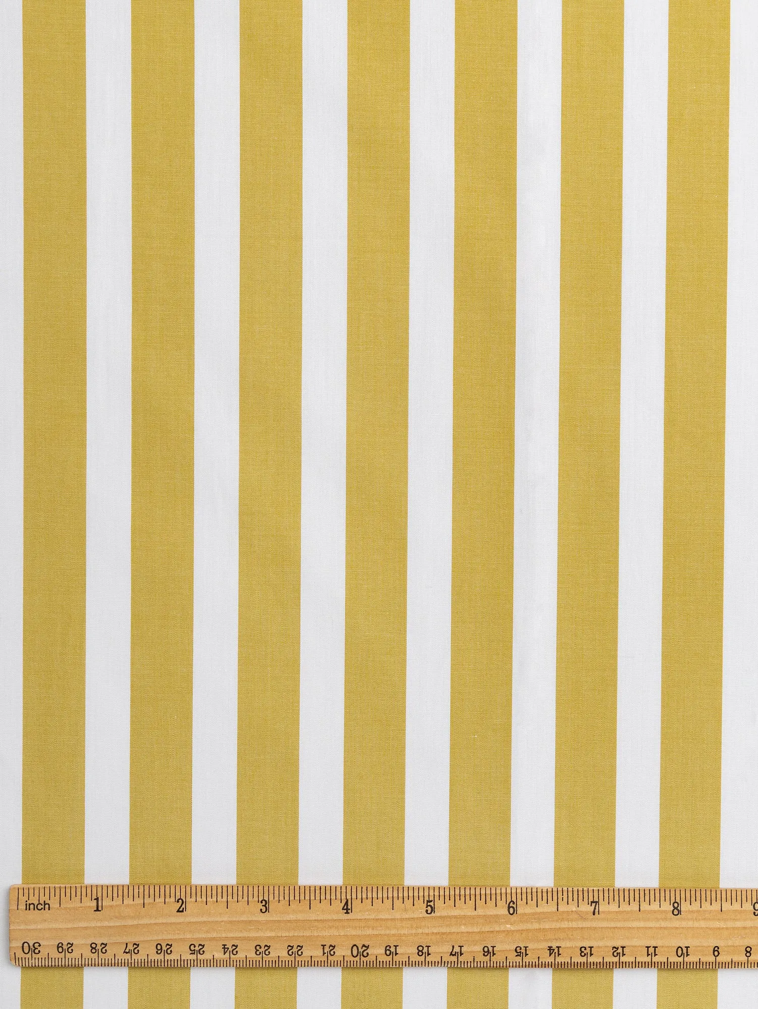 Wide Stripe Cotton Poplin Shirting - Mustard   White - Swatch